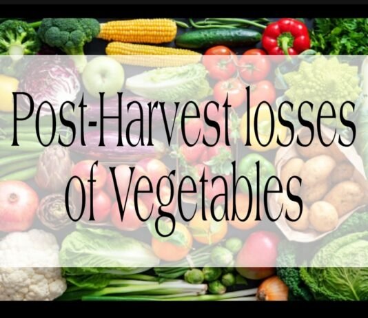 Post-Harvest losses of Vegetables